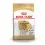 ROYAL CANIN Jack Russell Adult гранули за възрастен джак ръсел териер 1,5 кг