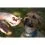 Geloren DOG дъвчащи желатинови таблетки L-XL, 420 г (60 бр)