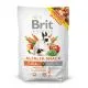 Brit Animals Alfalfa Snack за гризачи 100g