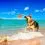 COLLAR Играчка Pitch dog ball 9 см