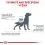 Royal Canin VHN Anallergenic Small Dog 1,5 кг