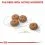 ROYAL CANIN Mini Sterilised гранули за кастрирани малки кучета 2 x 8 кг