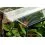 TERRASET 30 FOREST терариум - 30 x 25 x 35 см