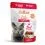Calibra Cat Life Възрастен говеждо в сос 12 x 85 г