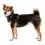 Предпазен колан за кучета Ruffwear Front Range&reg; Harness, Basalt Gray L/XL
