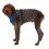 Постройка за кучета Ruffwear Front Range&reg; Harness, Blue Pool S