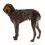 Пояс за кучета Ruffwear Front Range&reg; Harness, Moonlight Mountains XS