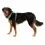 Харнес за кучета Ruffwear Front Range&reg; Harness, River Rock Green M