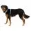 Харнес за кучета Ruffwear Front Range&reg; Harness, Spring Mountains S