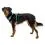 Пояс за кучета Ruffwear Hi & Light&trade; Harness, Sage Green XS