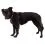 Пояс за кучета Ruffwear Hi & Light&trade; Harness, Alpenglow Pink XS
