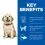 Hill s Science Plan Canine Puppy Large Breed Chicken 2,5 кг