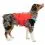 Kurgo Surf N Turf Dog Life Jacket Жилетка за плуване за кучета, M червена