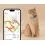Tractive GPS CAT Mini + нашийник &ndash; проследяване на местоположението и активността на вашата котка &ndash; мента