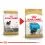 ROYAL CANIN Yorkshire Puppy гранули за кученце йоркширски териер 500 г
