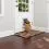 PetSafe SmartDoor Свързана врата за домашни любимци M