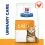 Hill s Prescription Diet c/d Multicare Грижа за пикочната система за котки 12 кг