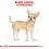 ROYAL CANIN Chihuahua Loaf kapsička s pa&scaron;t&eacute;tou pre čivavu 36 x 85 g