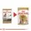 ROYAL CANIN Yorkshire Loaf консервирана храна с пастет за йоркширски териер 24 x 85 г