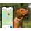Tractive DOG 6 &ndash; GPS локатор за кучета и монитор на здравето, кафяв