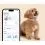 Tractive DOG 6 &ndash; GPS локатор за кучета и монитор на здравето, кафяв