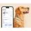 Tractive DOG 6 &ndash; GPS локатор за кучета и монитор на здравето, мента