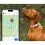 Tractive DOG 6 &ndash; GPS локатор за кучета и монитор на здравето, мента