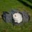 Ferplast Voyager Carrier Pro 450 Черен