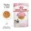 Royal Canin Kitten Instinctive Jelly консерви за котенца в желе 24 x 85 г