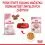 Royal Canin Kitten Instinctive Jelly консерви за котенца в желе 36 x 85 г