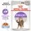 Royal Canin Sterilised Jelly консерви за кастрирани котки в желе 36 x 85 г