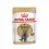 Royal Canin British Shorthair kapsička pre britsk&eacute; kr&aacute;tkosrst&eacute; mačky v &scaron;ťave, 24 x 85 g