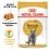 Royal Canin British Shorthair kapsička pre britsk&eacute; kr&aacute;tkosrst&eacute; mačky v &scaron;ťave, 24 x 85 g