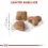 ROYAL CANIN Sensible гранули за котки с чувствително храносмилане 10 кг