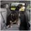 Kurgo Direct to Seat Belt Swivel Tether Оранжеви