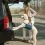Kurgo Up & About Dog Lifter Колан за кучета, Coastal Blue/Charcoal