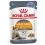 Royal Canin Hair & Skin Care Jelly консерви за котки в желе 24 x 85 г