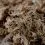 Terrabloom Moss 12 L - пресован