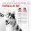 Royal Canin Joint & Ageing Chews Adult Supplements 240 г