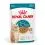 Royal Canin AGEING 15+ Gravy парченца в сос за стареещи котки над 15 години 12 x 85 г