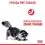 Royal Canin Digestive Care гранули за котки за поддръжка на здравословно храносмилане 400 кг