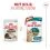 ROYAL CANIN AGEING 11+ Jelly парчета в желе за стари котки над 11 години 36 x 85 г