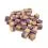 WOOLF Chicken with Blueberry Bites 100 g