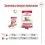 Royal Canin Medium Ageing 7+ консервa 6 x 410 г