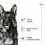 Royal Canin Maxi Ageing 5+ консервa 12 x 410 г