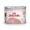 ROYAL CANIN Babycat Instinctive консерва за кърмещи котки и котенца 12 x 195 g