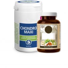 Vitamíny