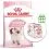 ROYAL CANIN Kitten гранули за котенца в тяхната втора фаза на растеж 10 кг + 12 пауча безплатно