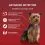 PURINA ONE MINI Dog Active Говеждо и патица в сос 10 x 85 г