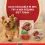 PURINA ONE MINI Dog Active Говеждо и патица в сос 10 x 85 г